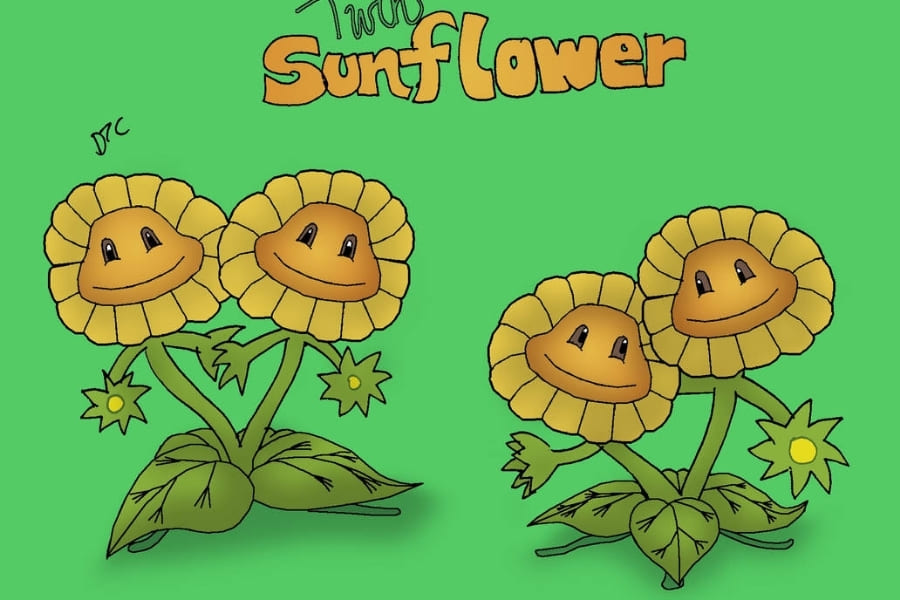 Twin Sunflower có thể cung cấp cho bạn lượng mặt trời khổng lồ